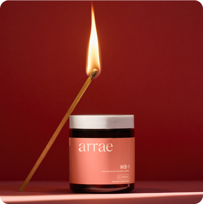 MB-1 (Metabolic Burn)